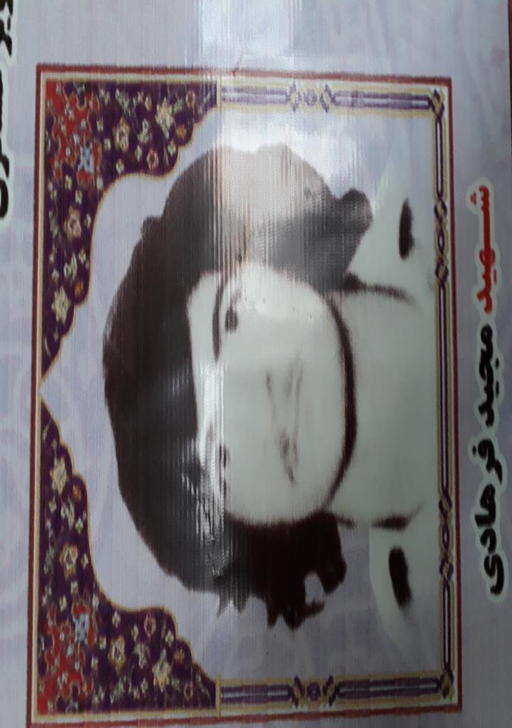 فاقد تصویر
